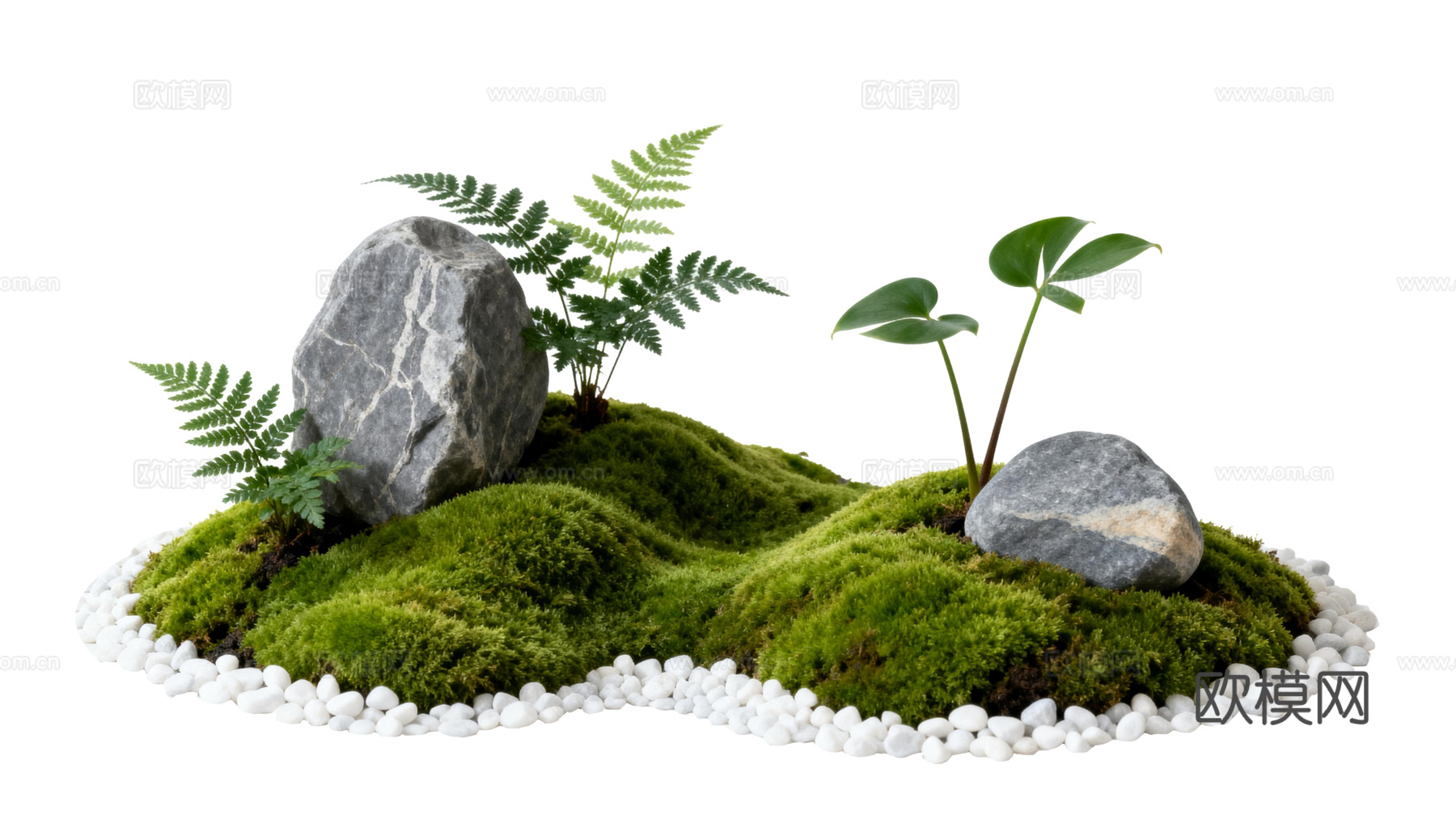 免抠植物花草 自然石景植物组合 苔藓下载
