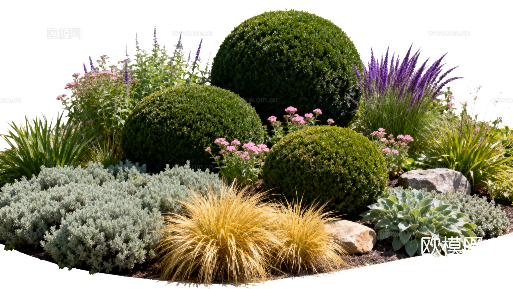 欧式绿植 西式花池 花园植物组合绿色灌木 金黄色植物 花池