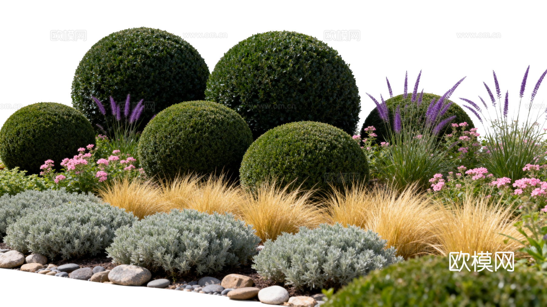 欧式绿植 西式花池 花园植物组合绿色灌木 金黄色植物 花池