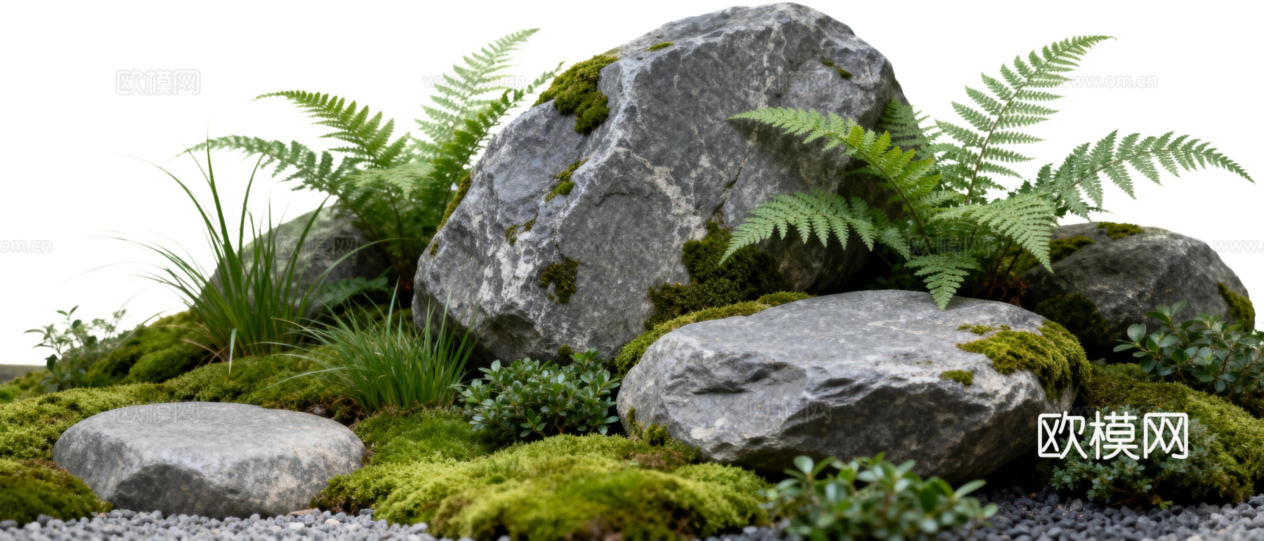免抠植物花草 自然石景植物组合 苔藓造景下载