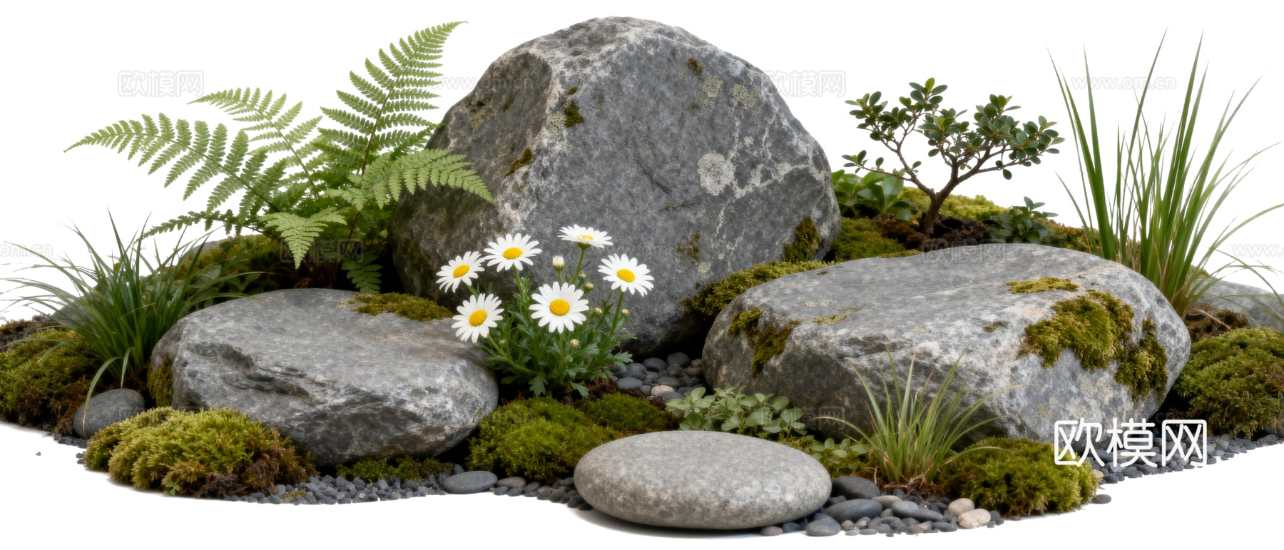 免抠植物花草 自然石景植物组合 苔藓