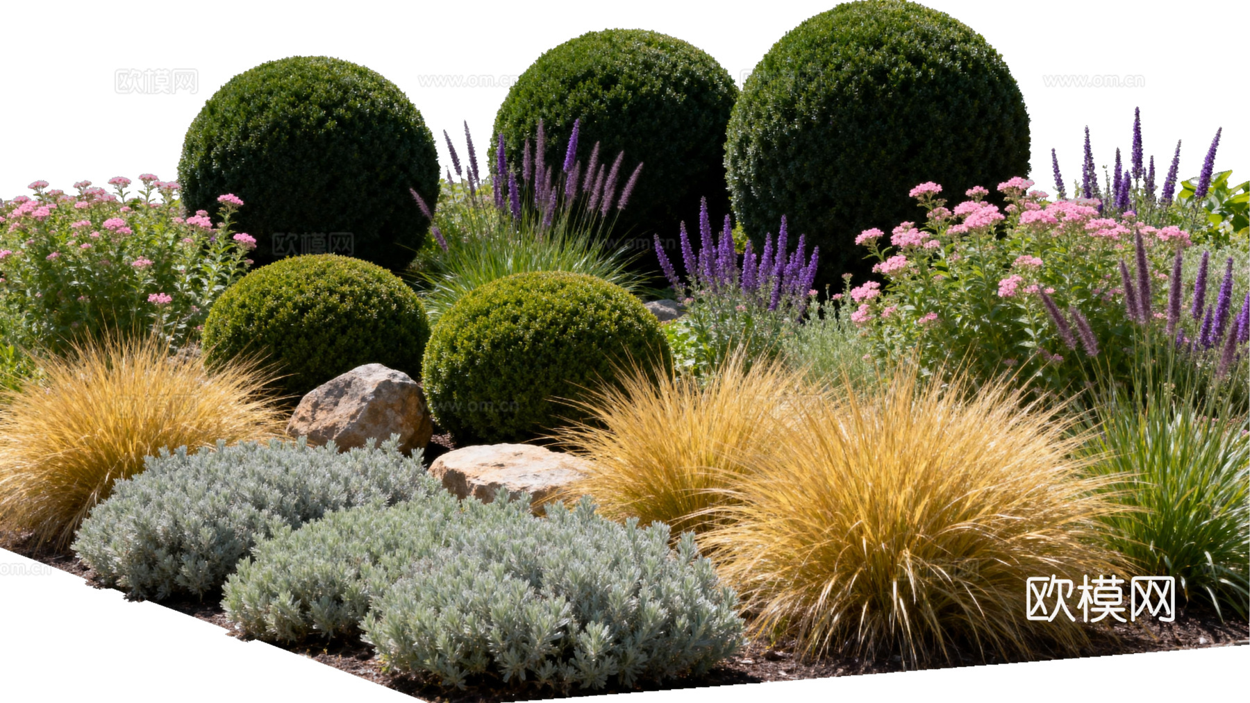 欧式绿植 西式花池 花园植物组合绿色灌木 金黄色植物 花池