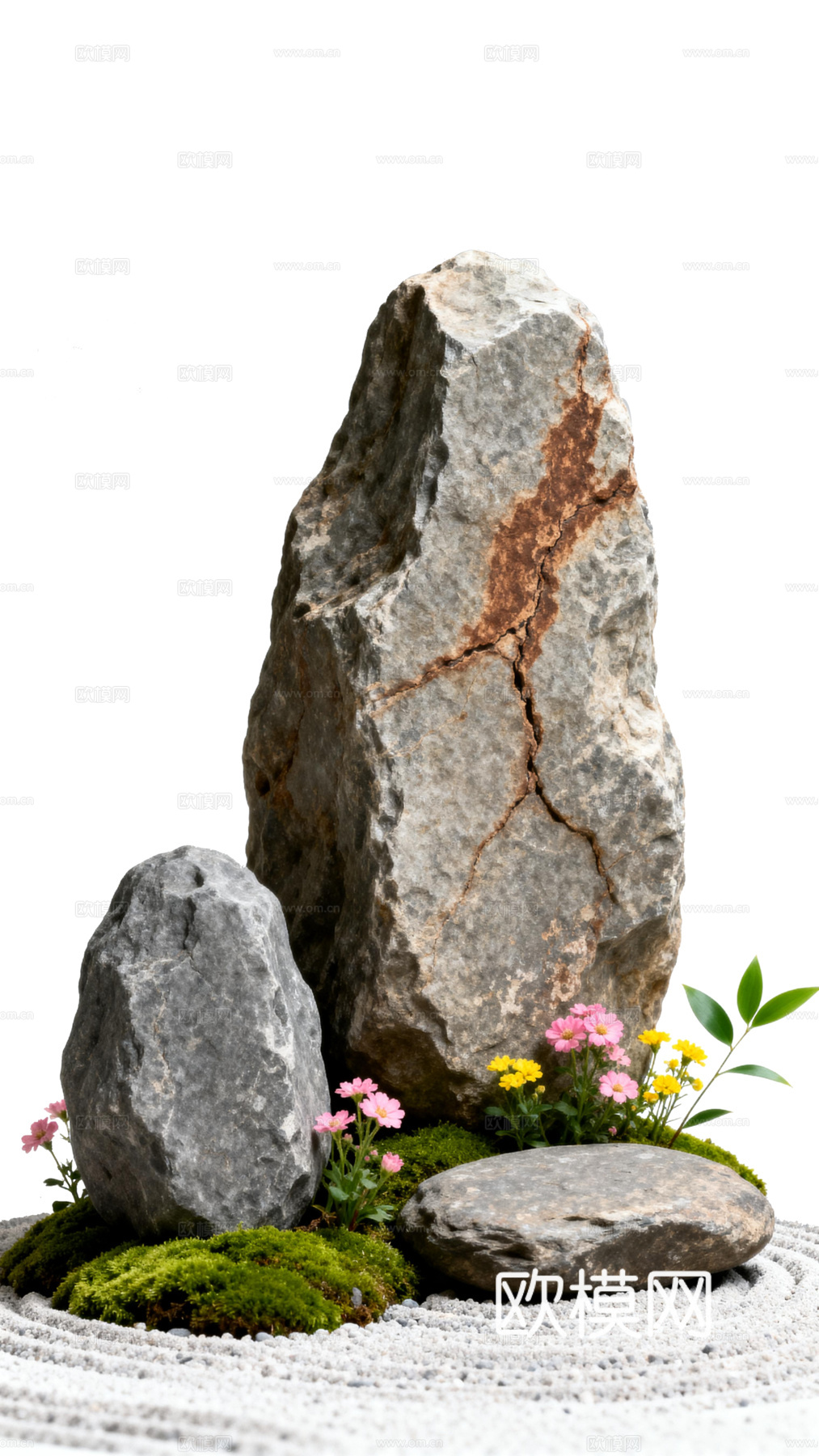 免抠植物花草 自然石景植物组合 苔藓