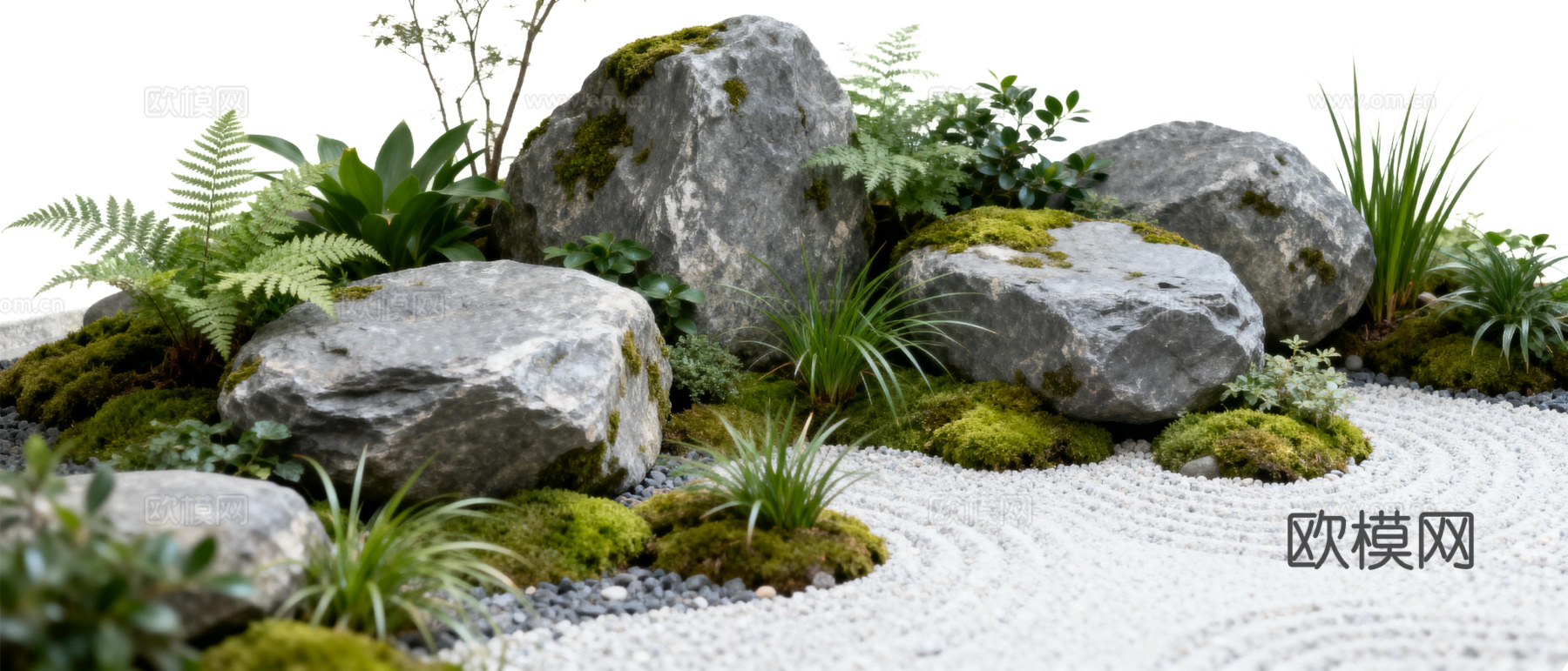 免抠植物花草 自然石景植物组合 苔藓造景