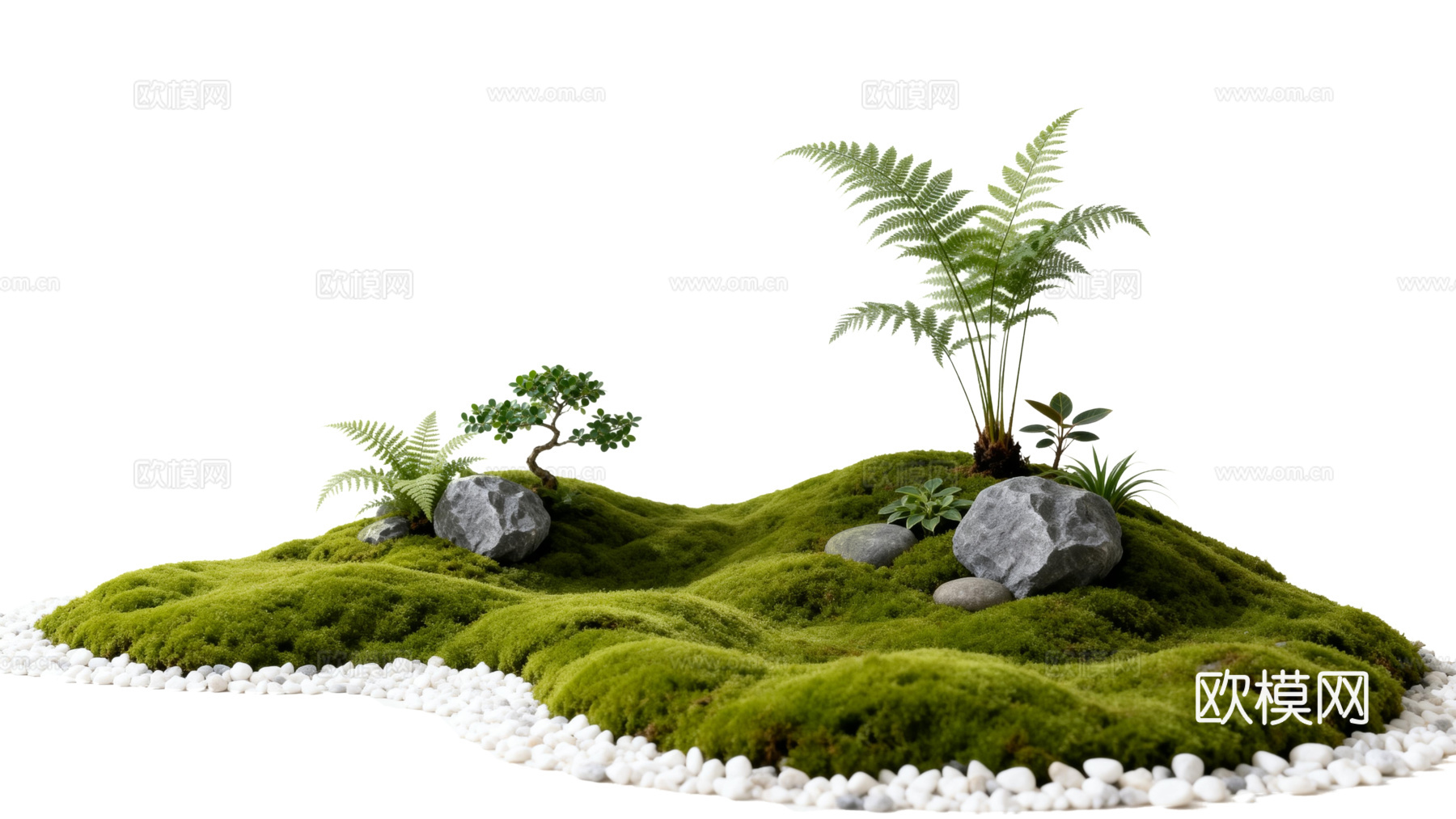 免抠植物花草 自然石景植物组合 苔藓