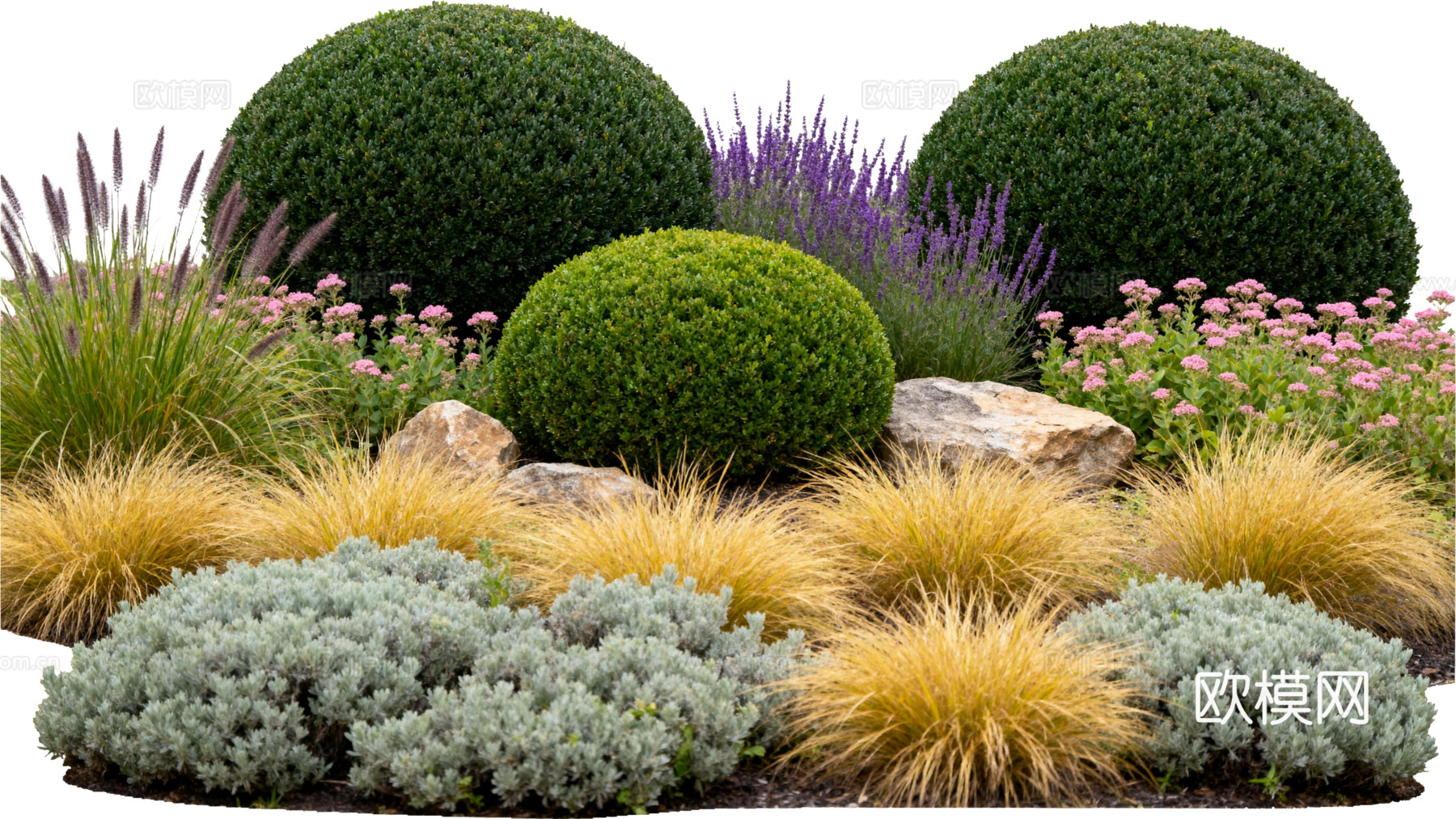 欧式绿植 西式花池 花园植物组合绿色灌木 金黄色植物 花池