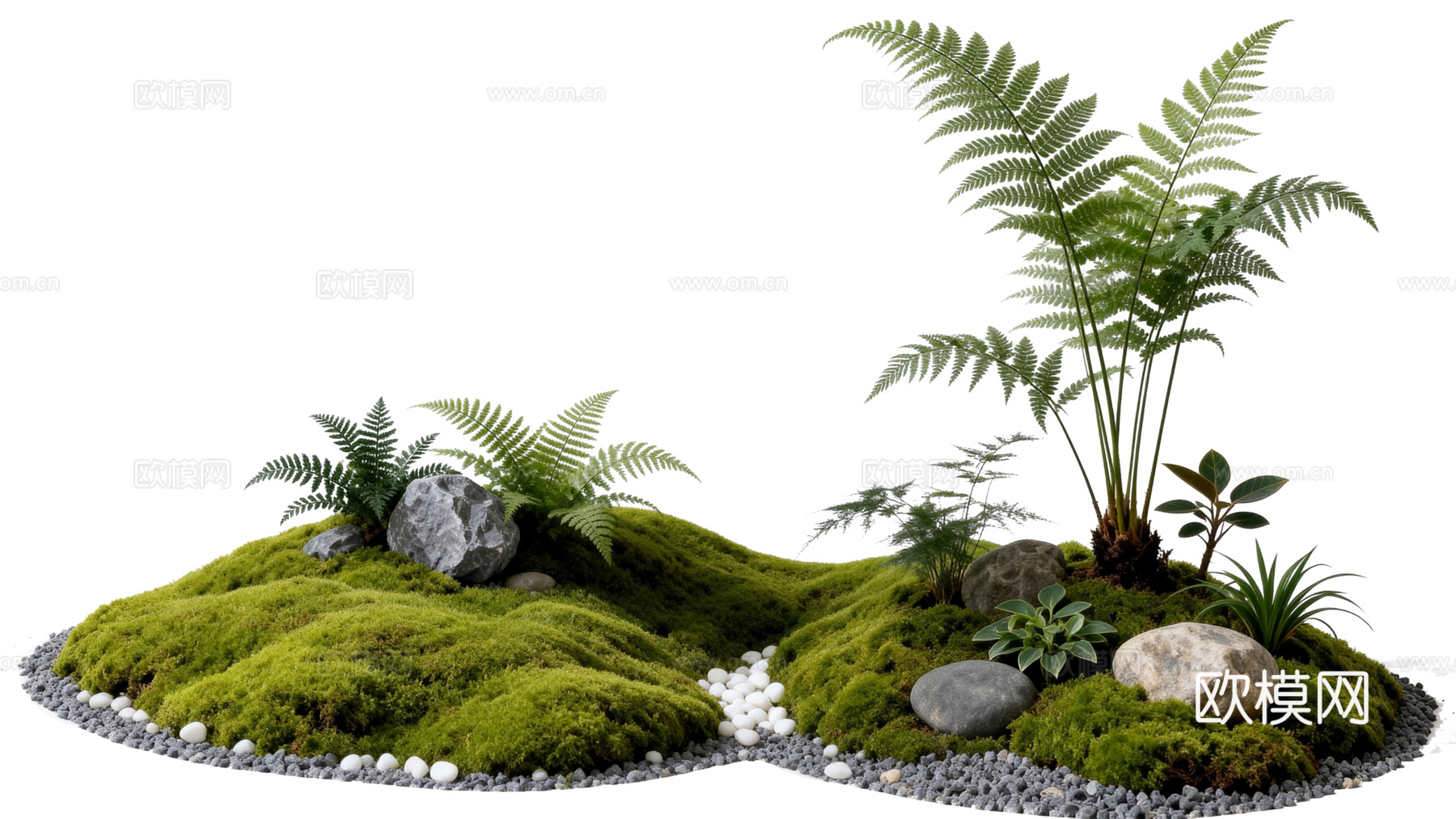 免抠植物花草 自然石景植物组合 苔藓