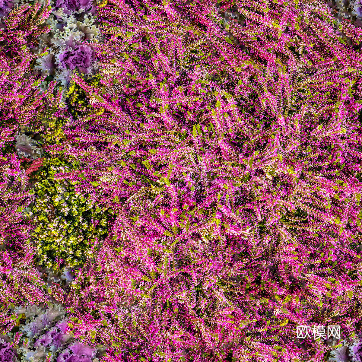 灌木花丛，灌木丛125下载