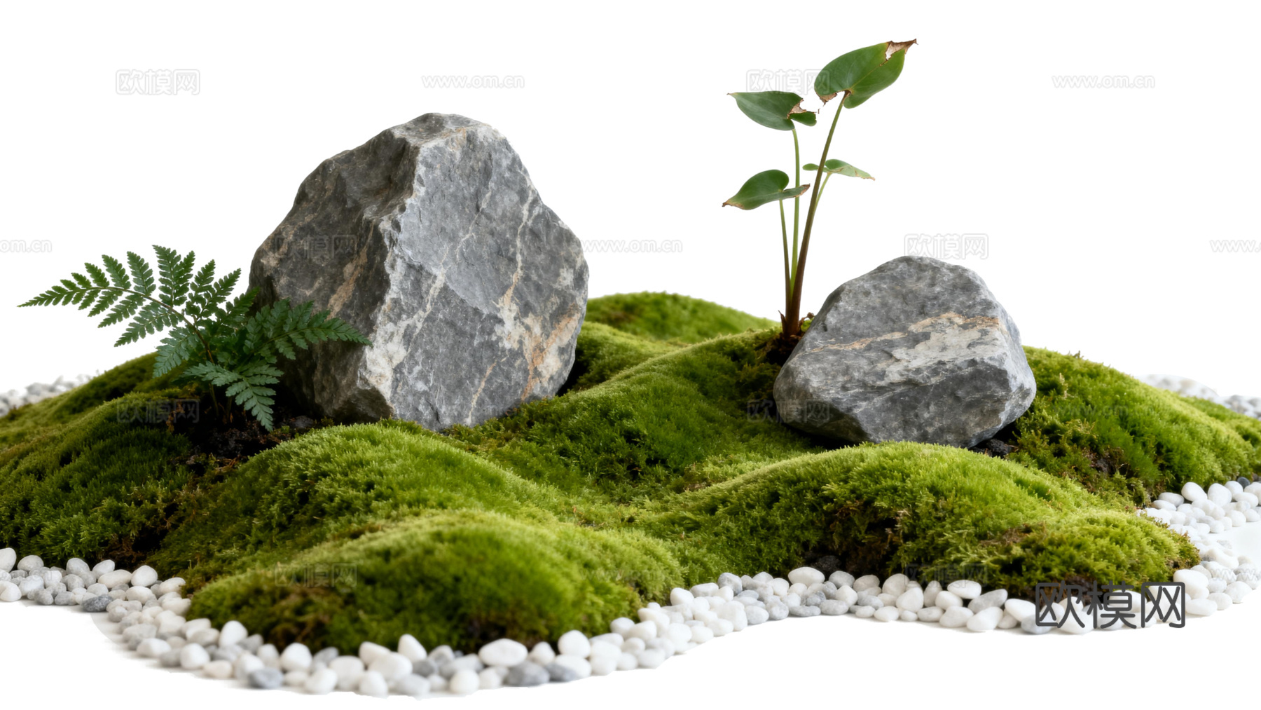 免抠植物花草 自然石景植物组合 苔藓