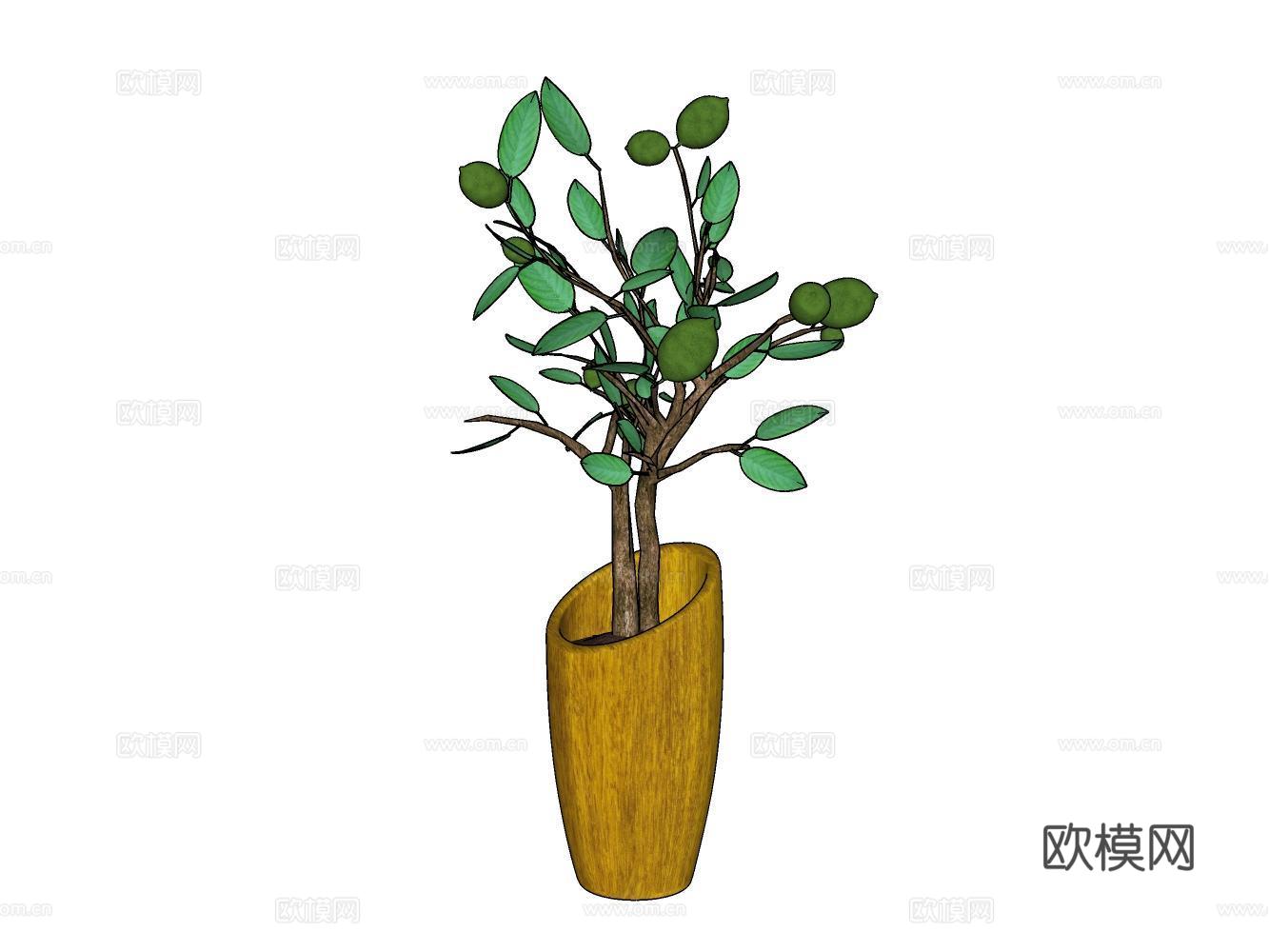 盆栽su模型