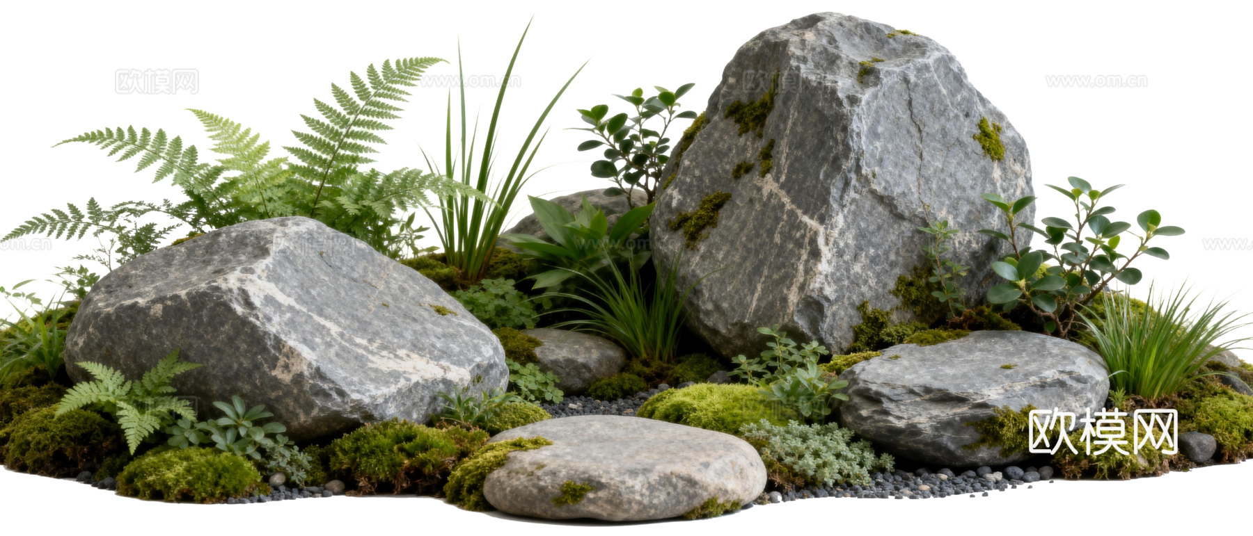 免抠植物花草 自然石景植物组合 苔藓