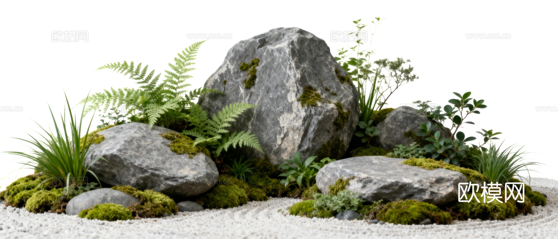 免抠植物花草 自然石景植物组合 苔藓下载