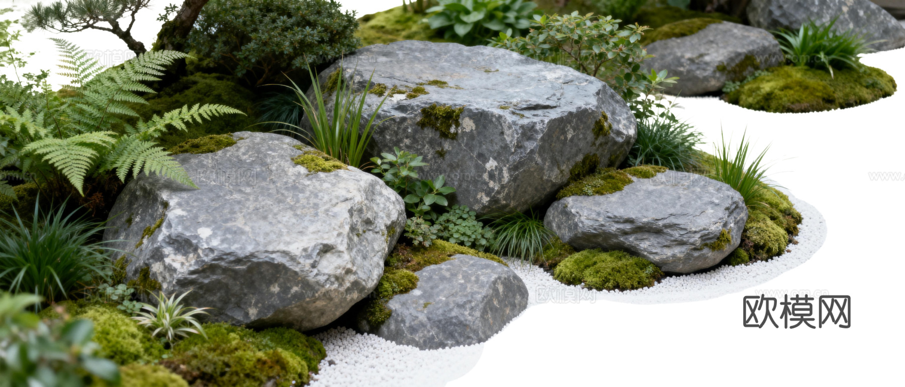 免抠植物花草 自然石景植物组合 苔藓