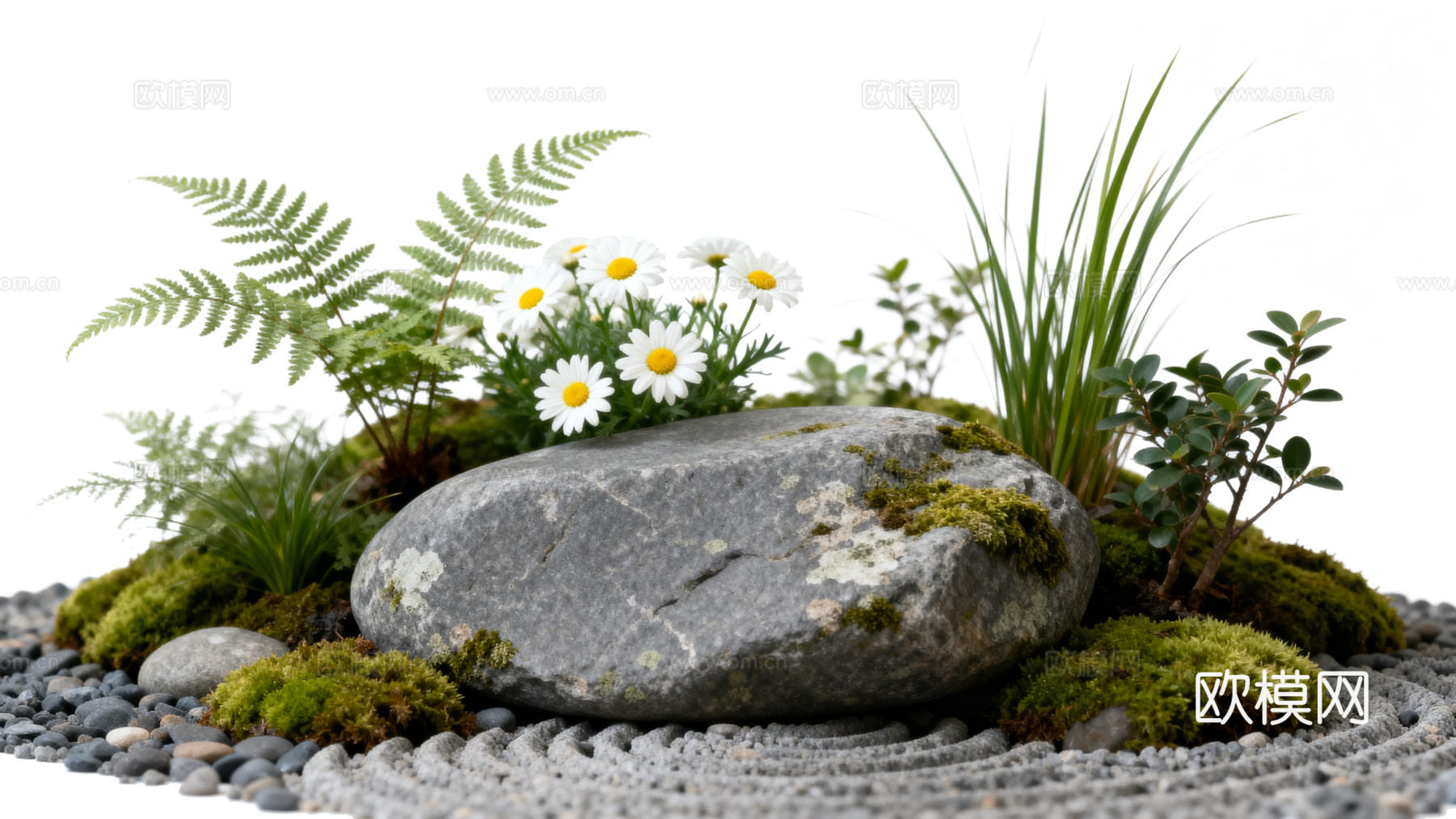 免抠植物花草 自然石景植物组合 苔藓造景