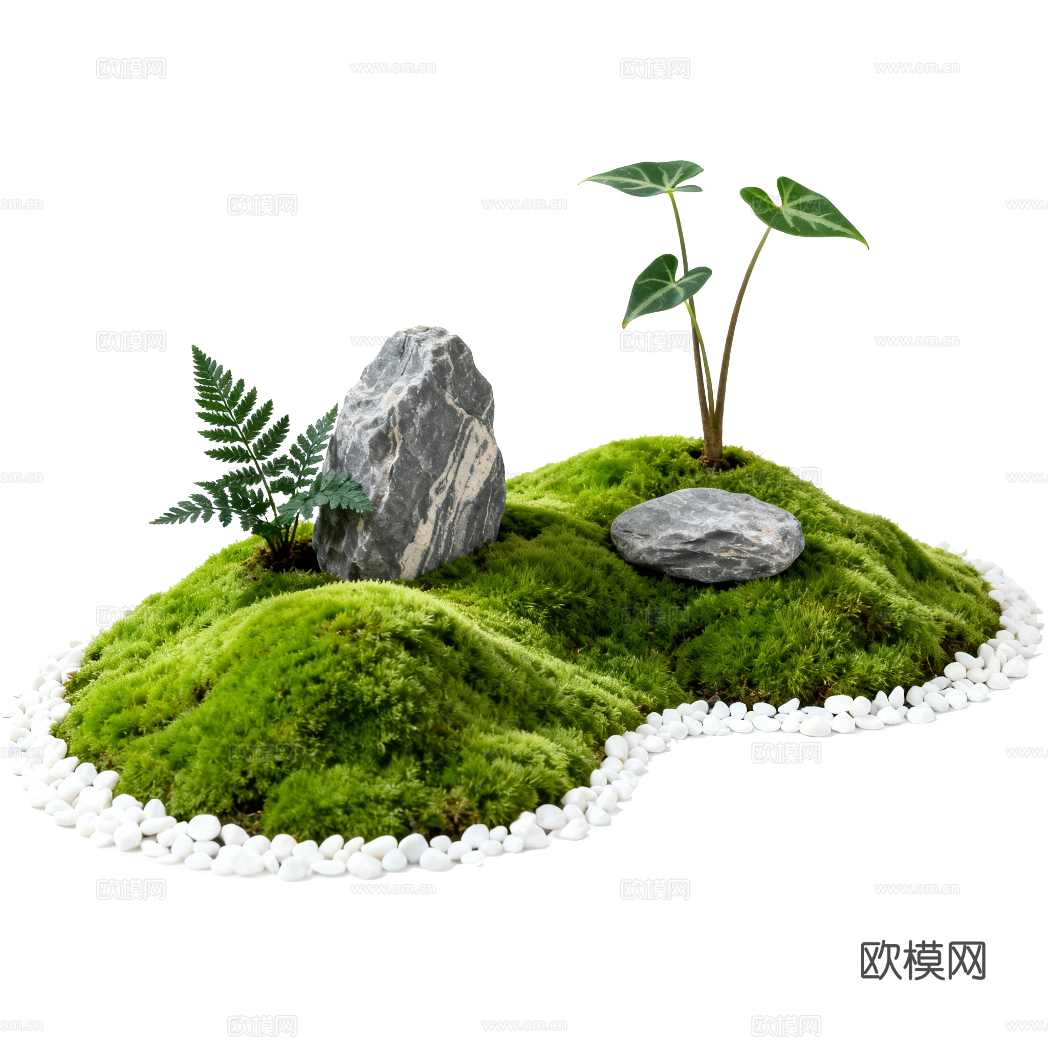 免抠植物花草 自然景观组合  苔藓石头造景