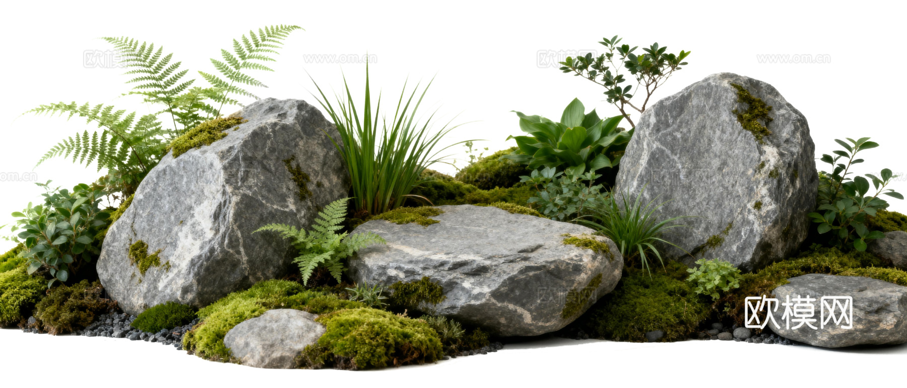 免抠植物花草 自然石景植物组合 苔藓