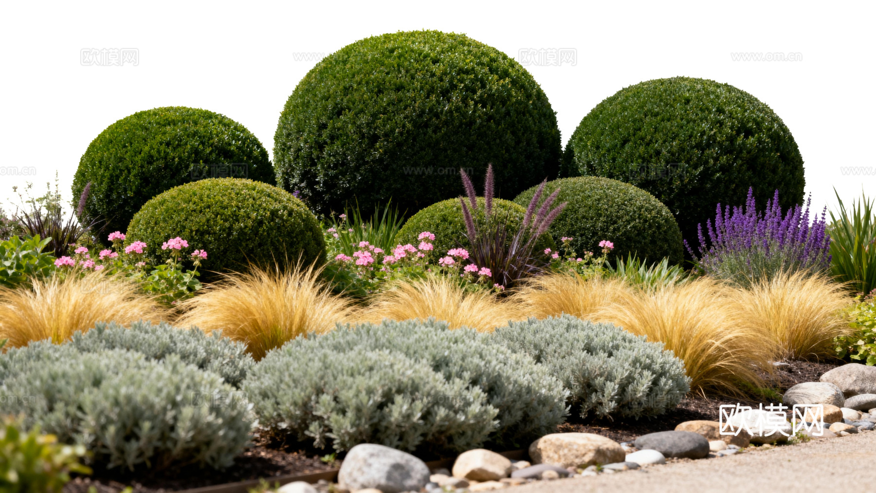 欧式绿植 西式花池 花园植物组合绿色灌木 金黄色植物 花池