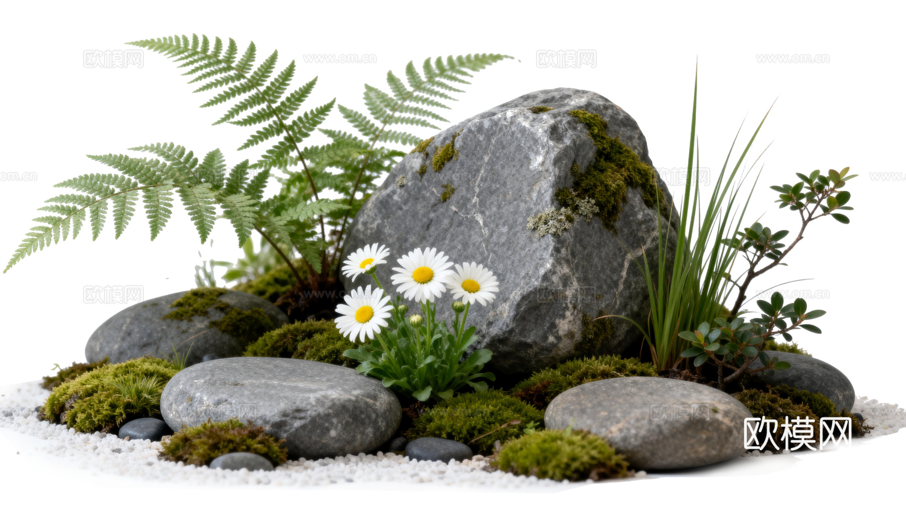 免抠植物花草 自然石景植物组合 苔藓