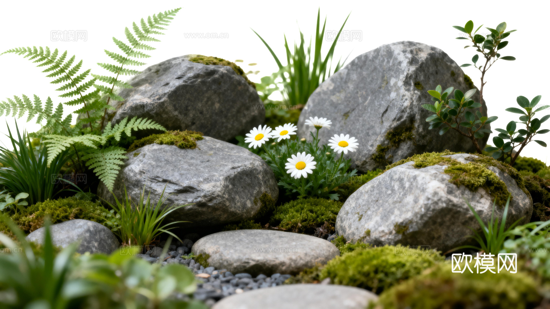 免抠植物花草 自然石景植物组合 苔藓