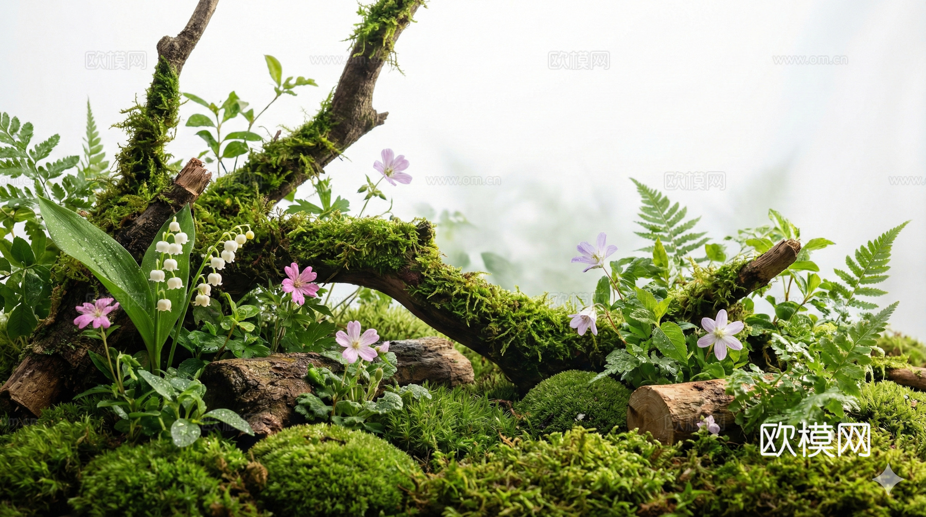 自然石景植物组合 苔藓造景 绿植 小草小花