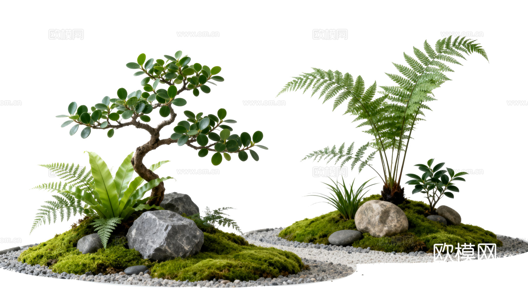 免抠植物花草 自然石景植物组合 苔藓