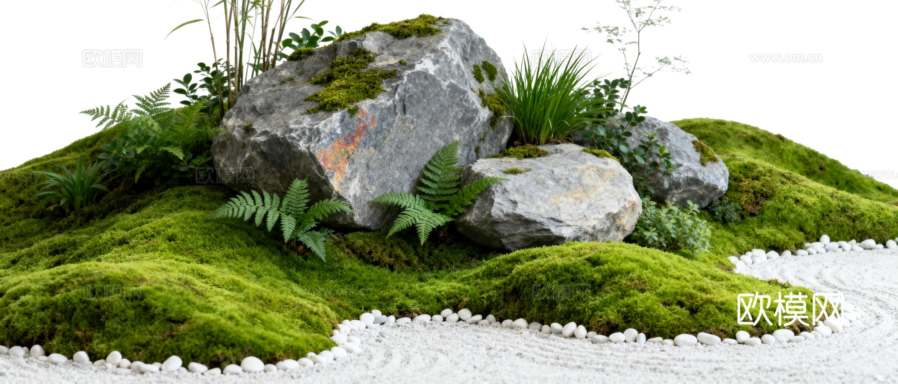 免抠植物花草 自然石景植物组合 苔藓