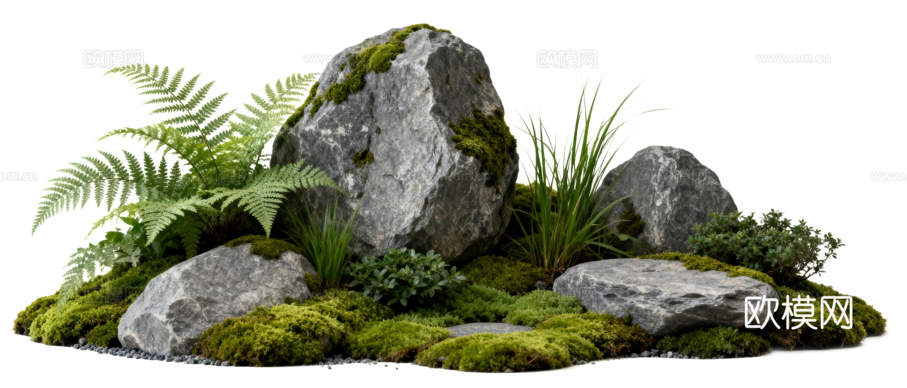 免抠植物花草 自然石景植物组合 苔藓下载