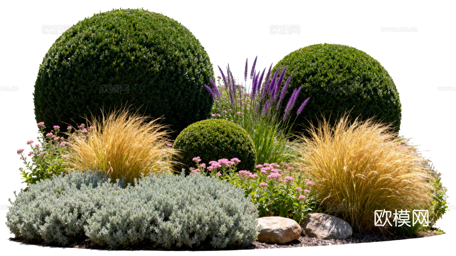 欧式绿植 西式花池 花园植物组合绿色灌木 金黄色植物 花池