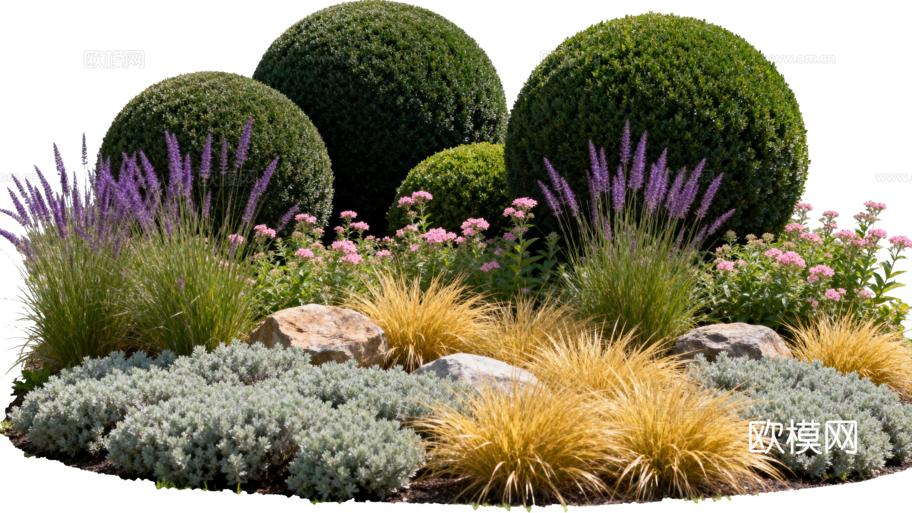 欧式绿植 西式花池 花园植物组合绿色灌木 金黄色植物 花池