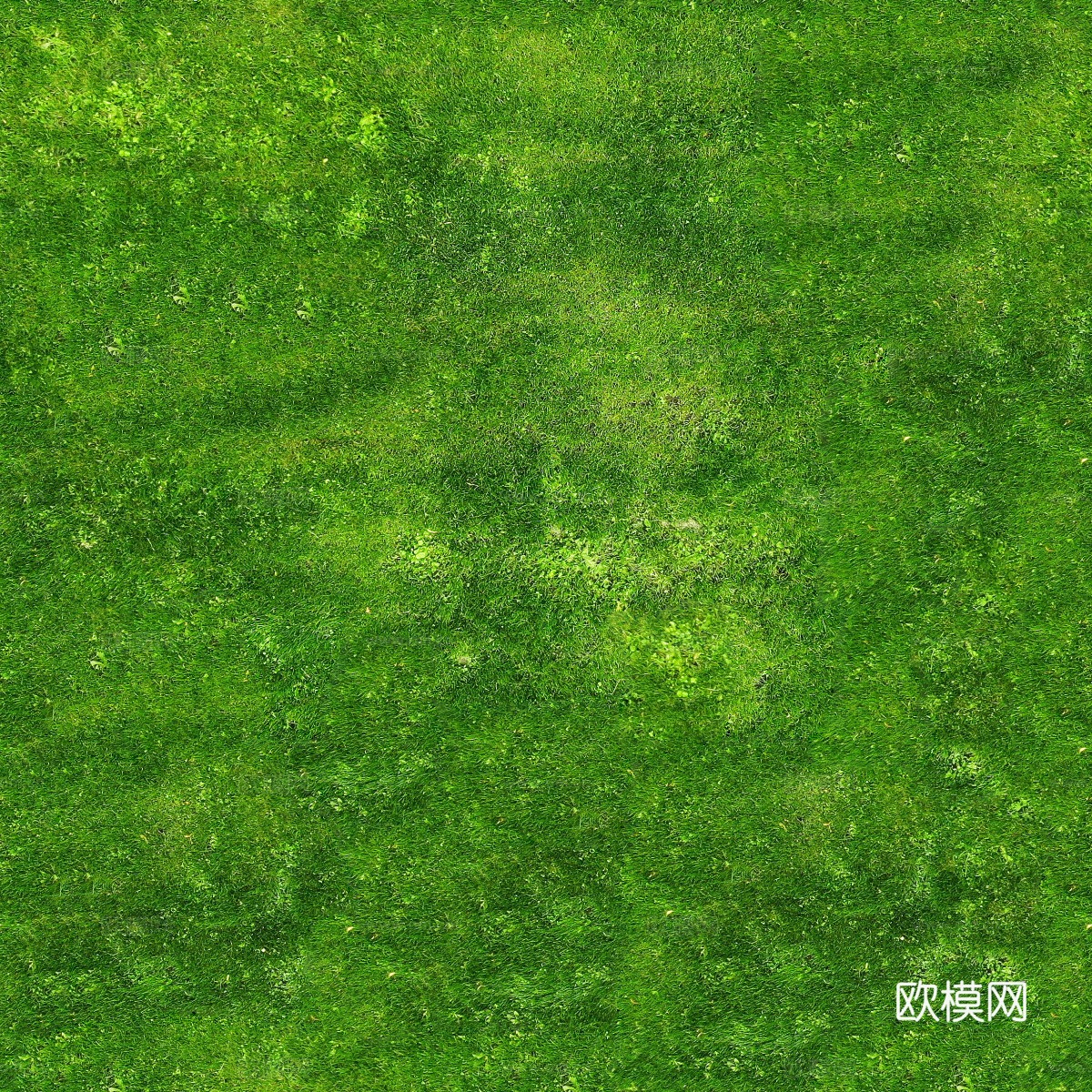 草地草皮草坡125下载