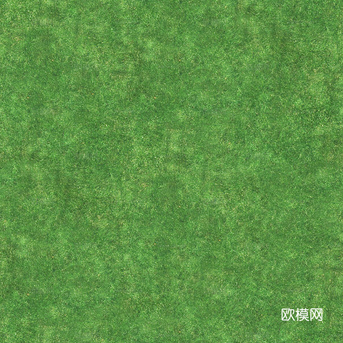 草地草皮草坡84下载