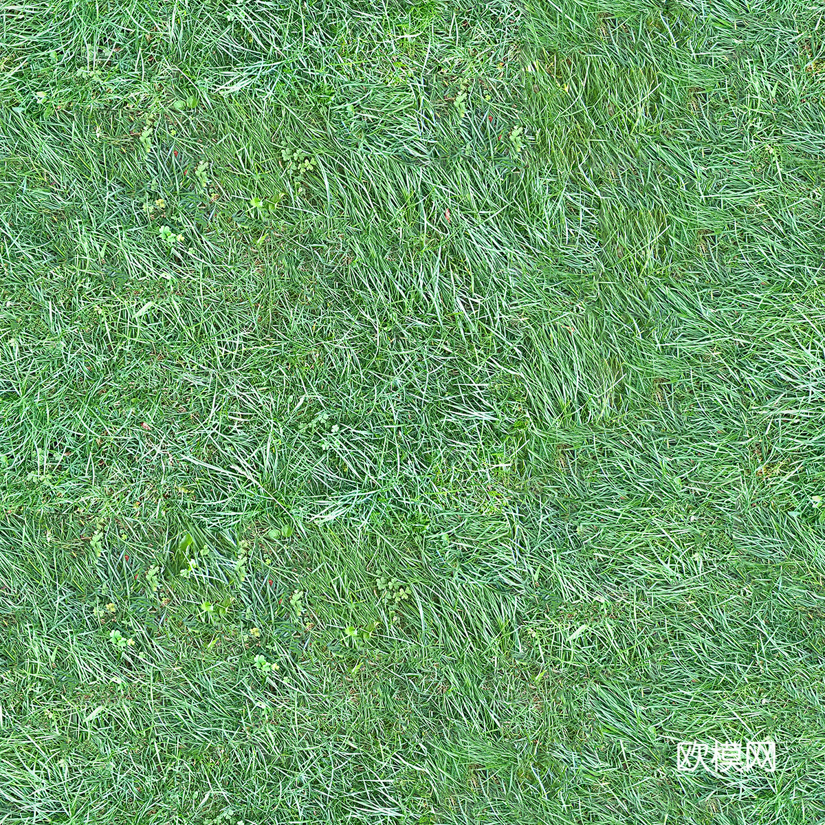 草地草皮草坡2下载