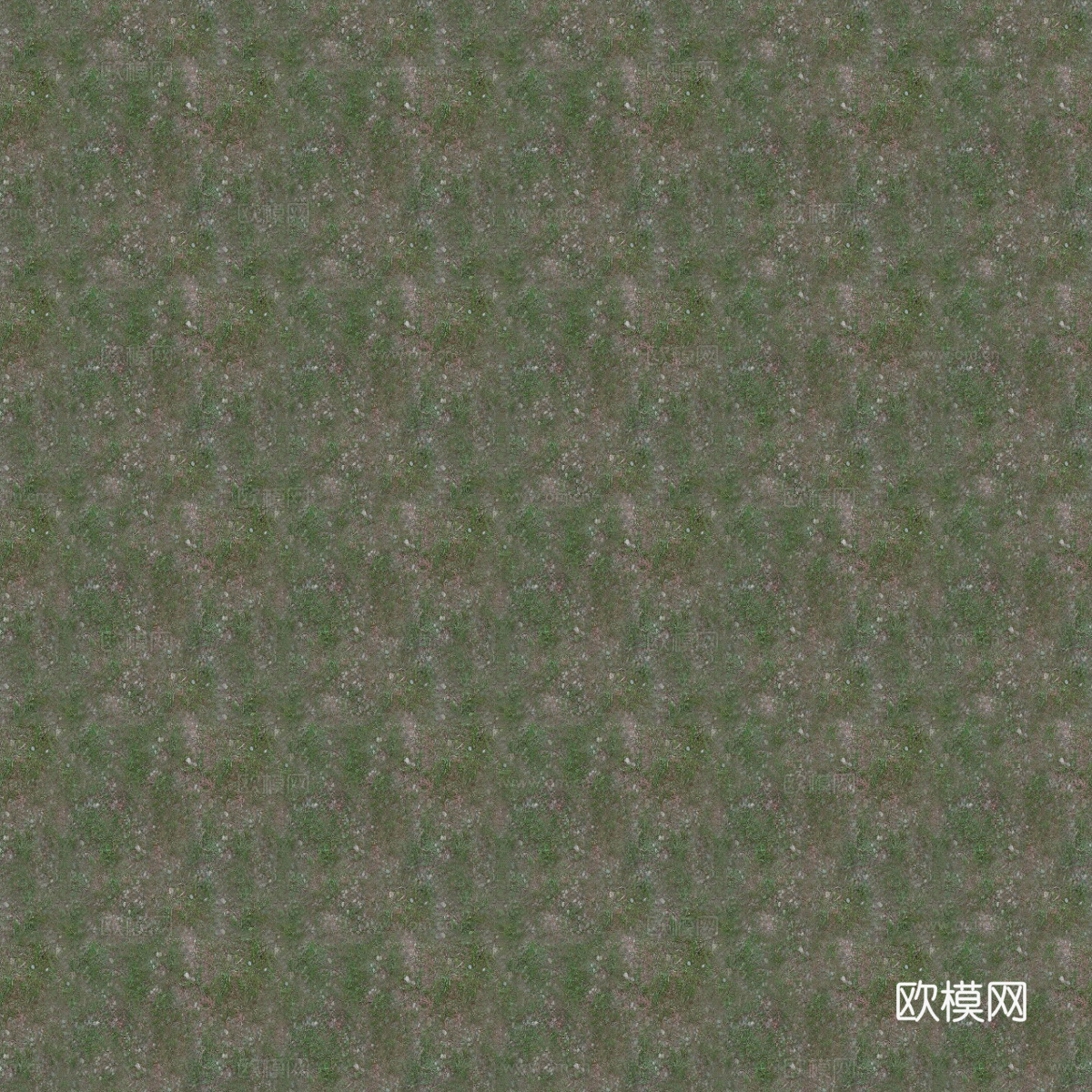 草地草皮草坡112下载