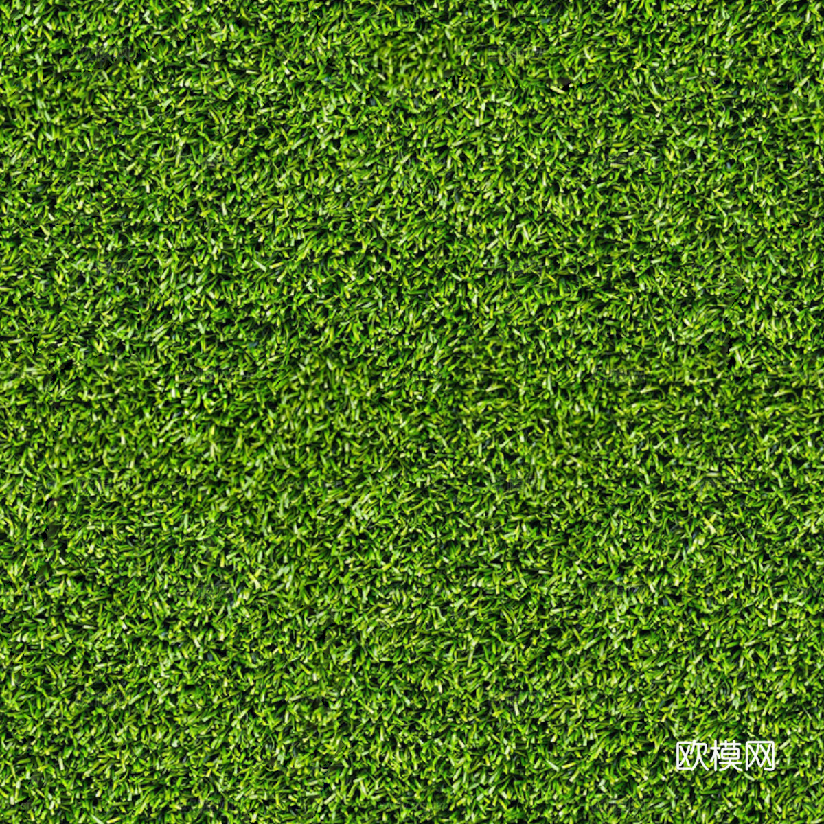 草地草皮草坡66