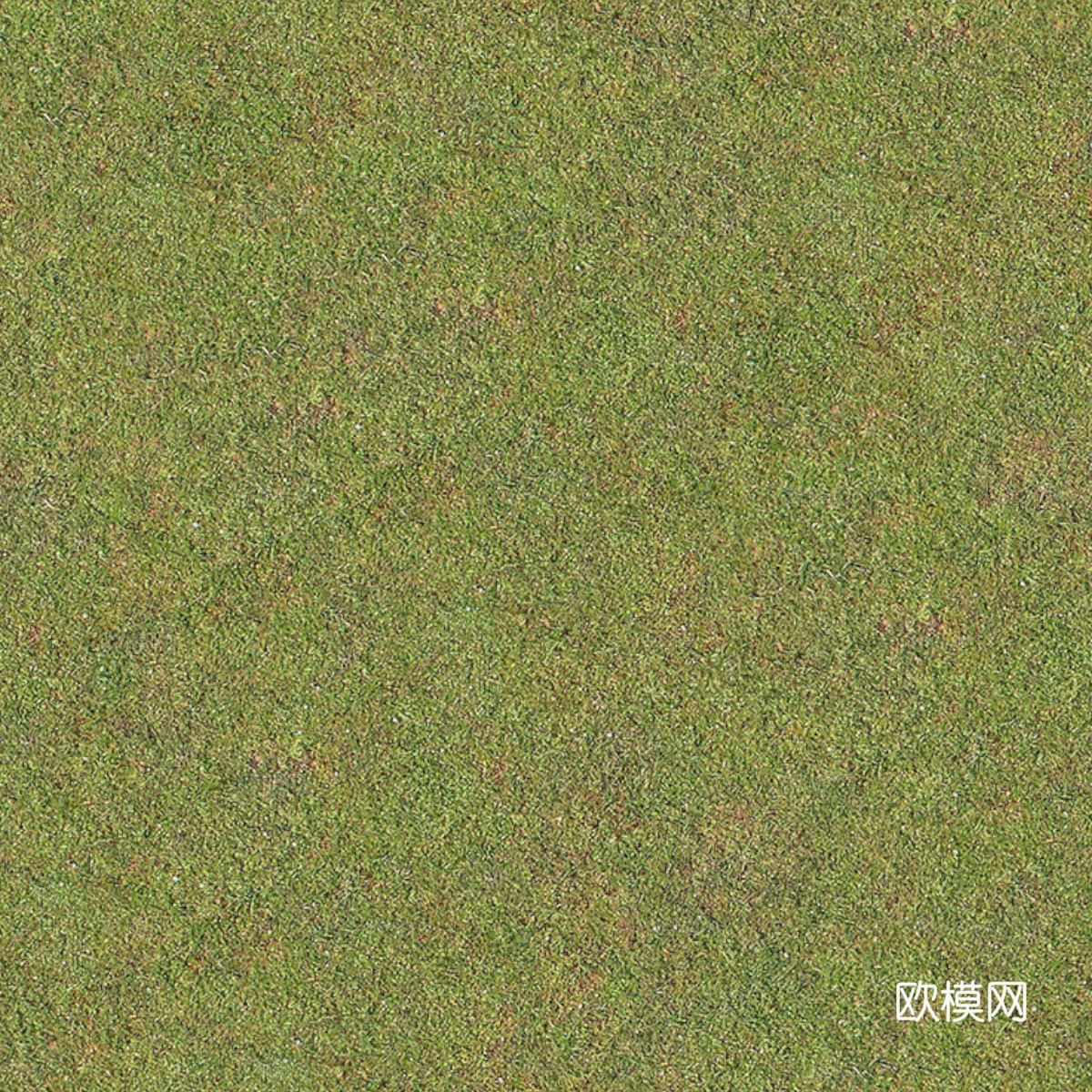 草地草皮草坡63