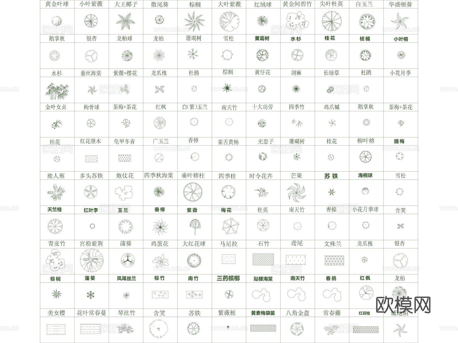 2026年最新超全园林景观植物树木图例平面立面CAD图库cad施工图