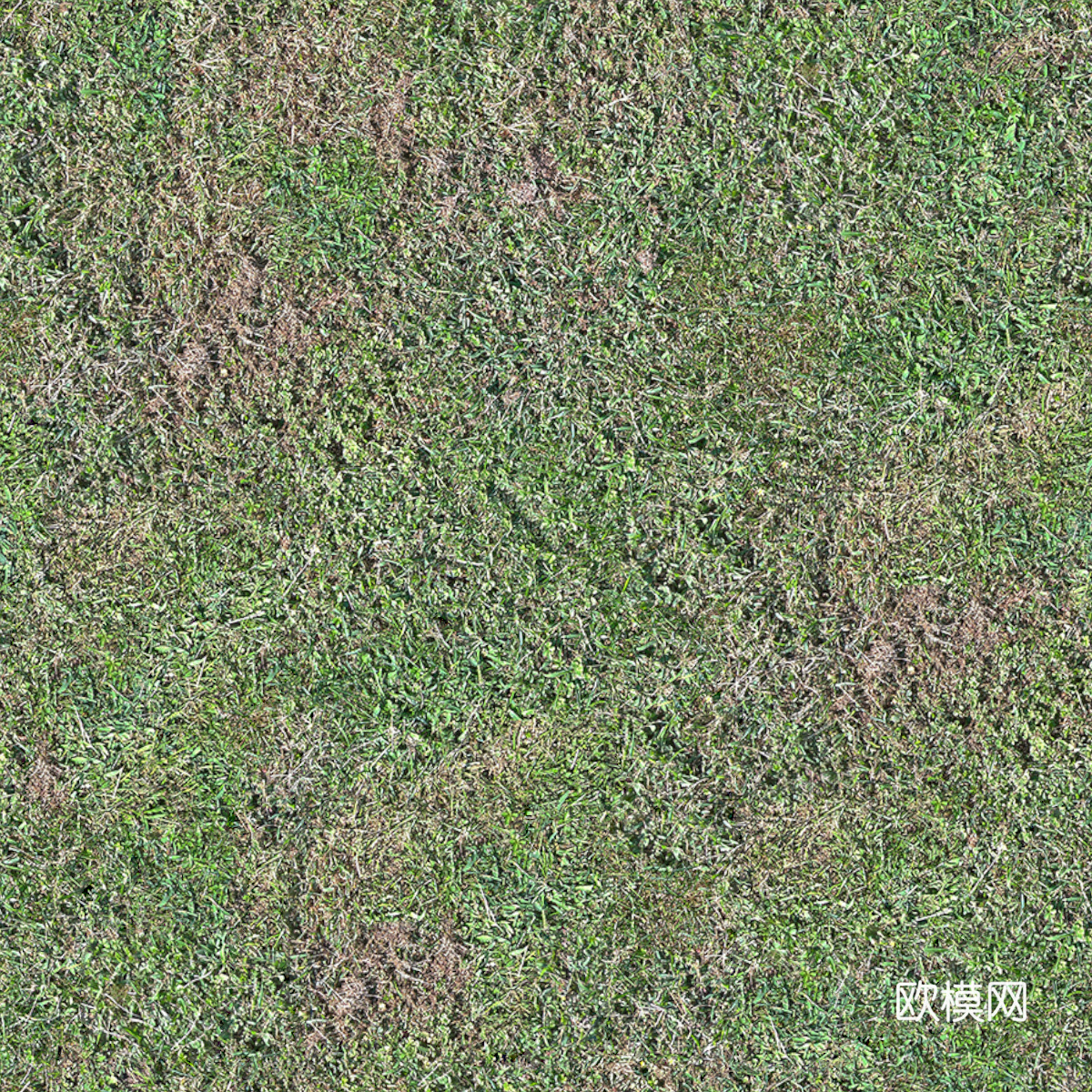 草地草皮草坡5下载