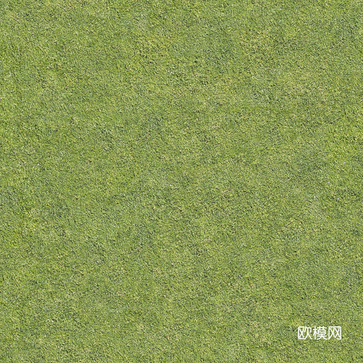 草地草皮草坡61下载