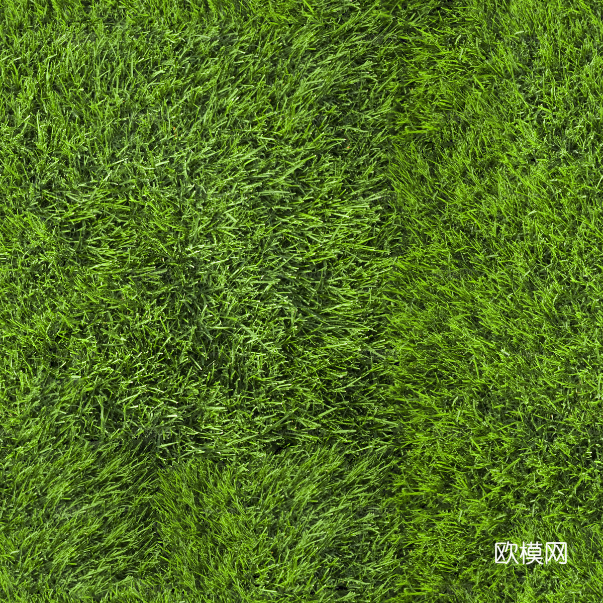 草地草皮草坡58下载