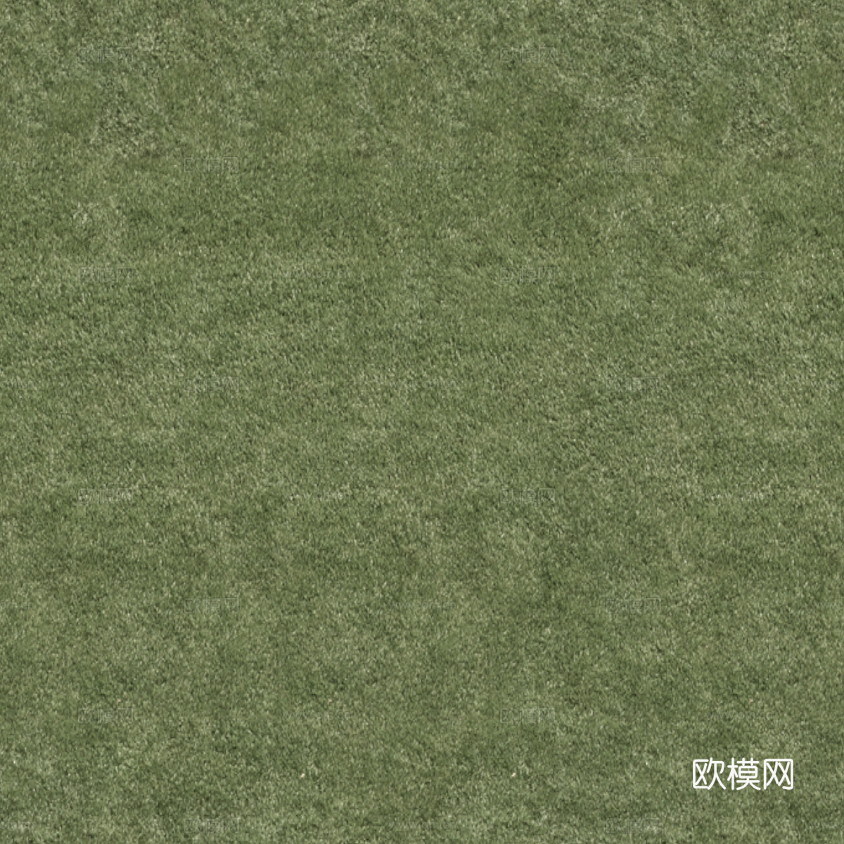 草地草皮草坡113