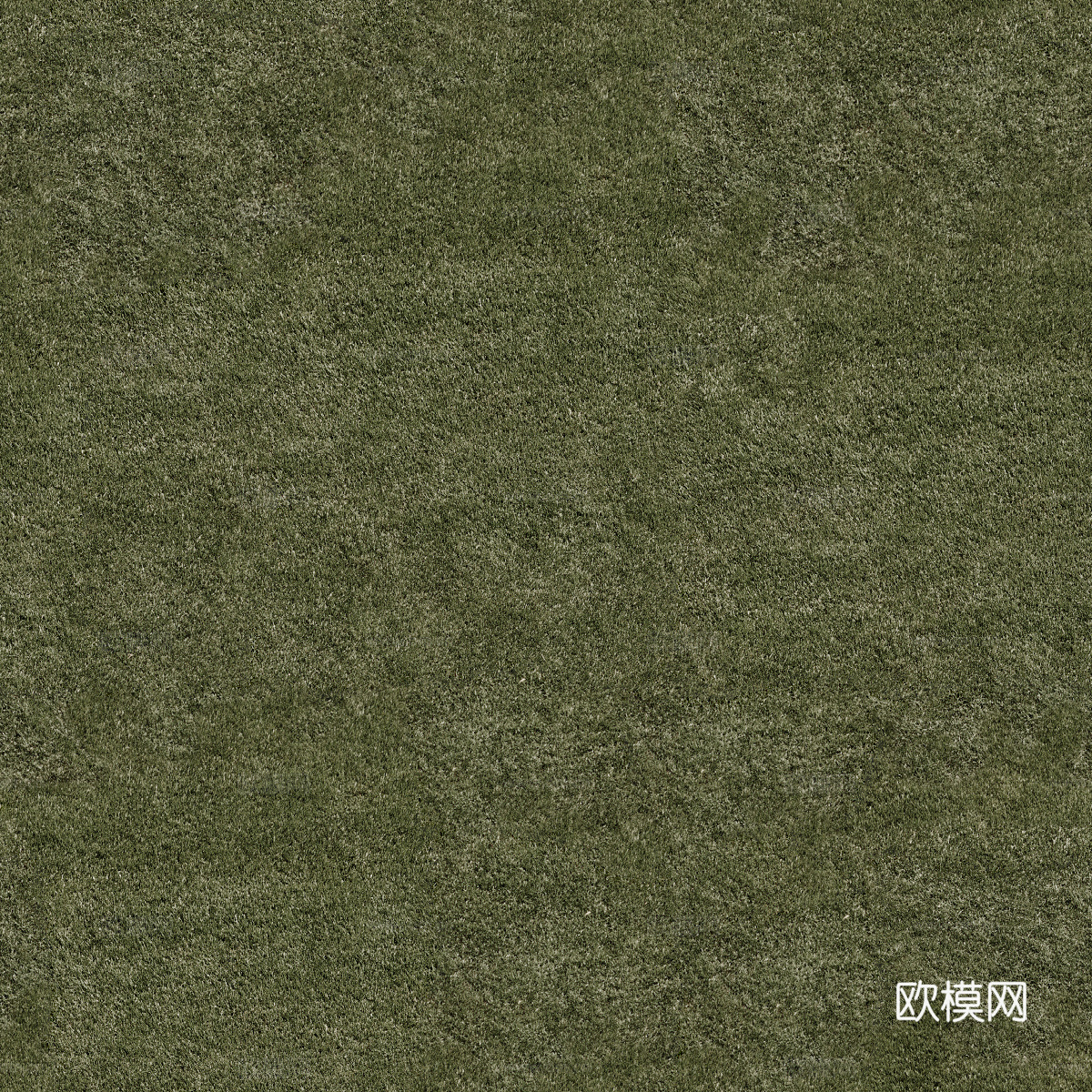 草地草皮草坡81