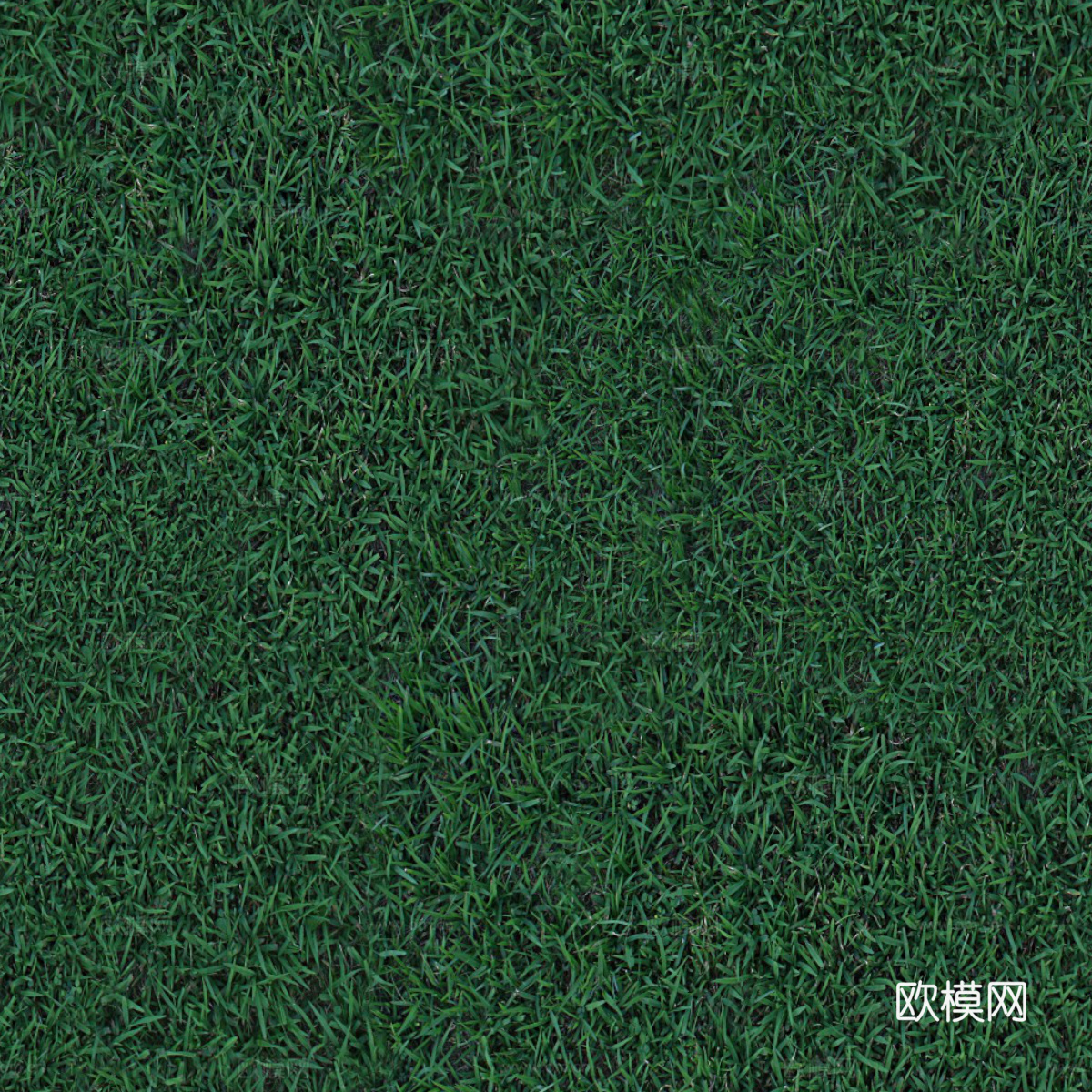 草地草皮草坡72下载