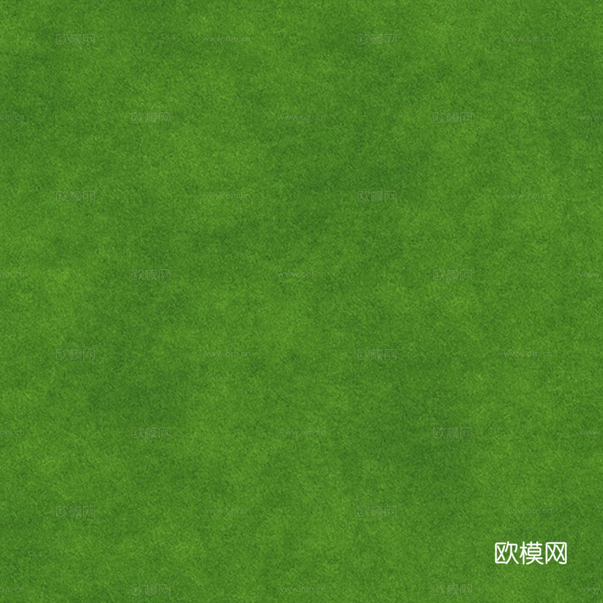 草地草皮草坡77