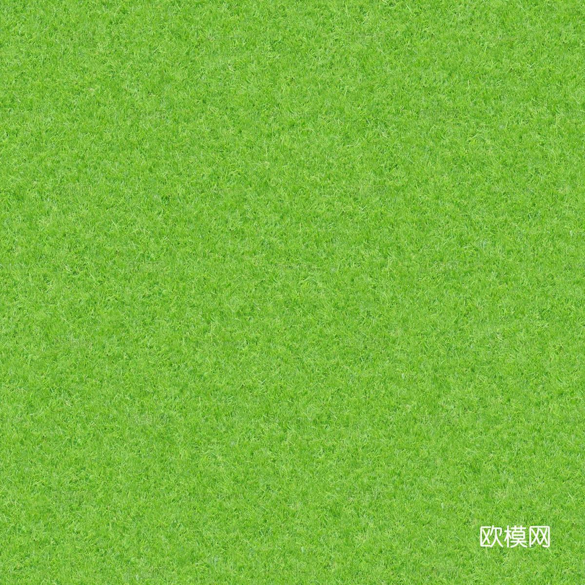 草地草皮草坡97