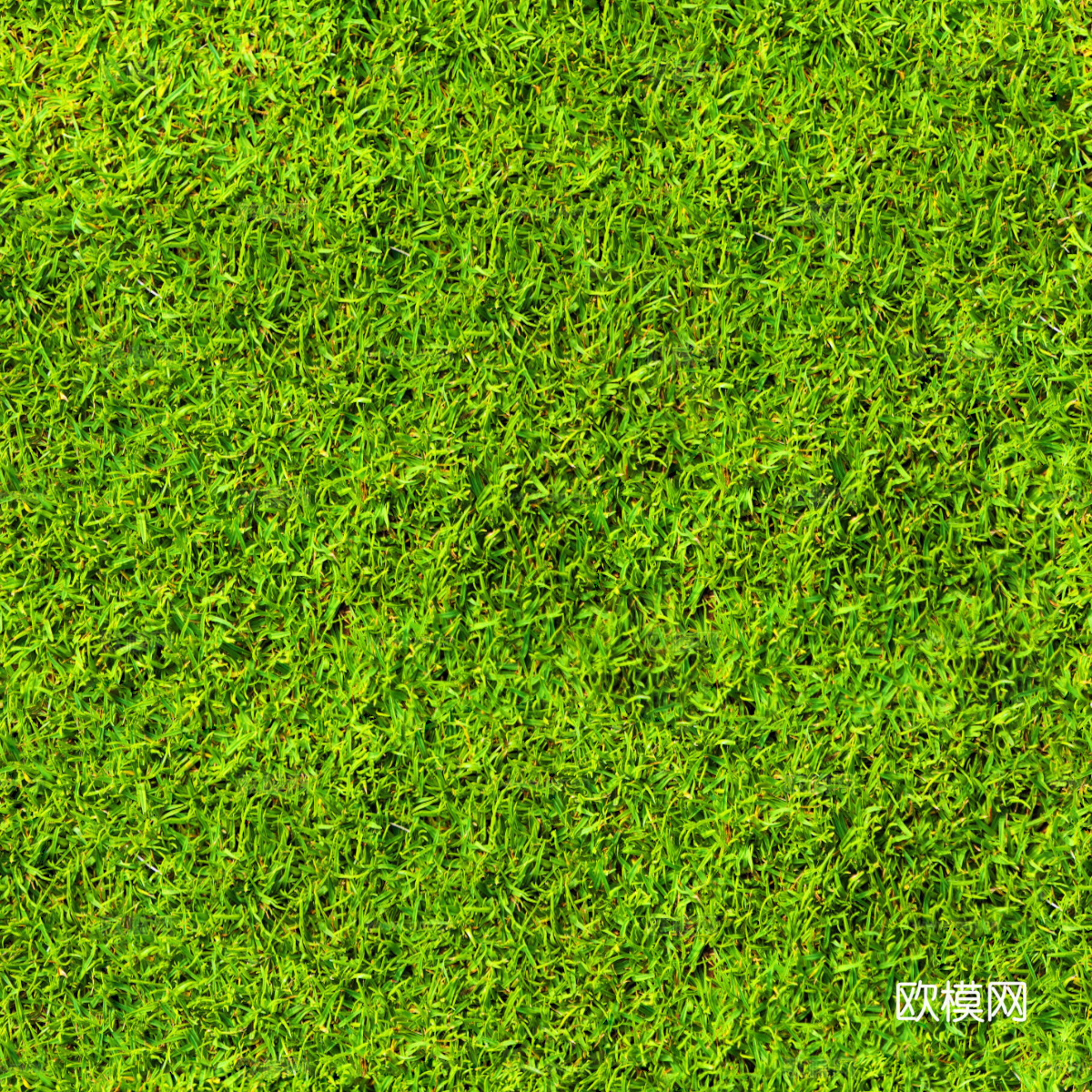 草地草皮草坡130下载
