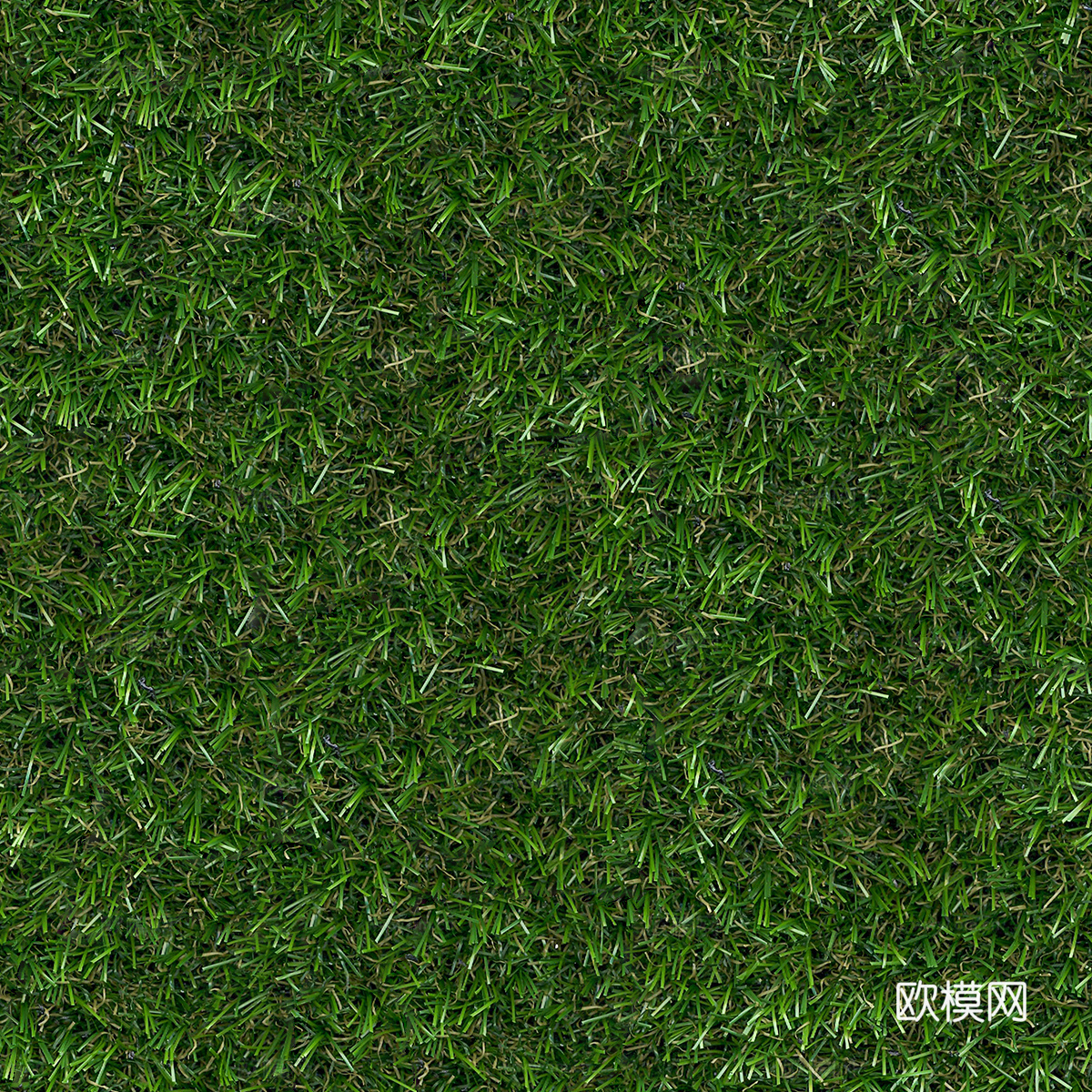 草地草皮草坡30