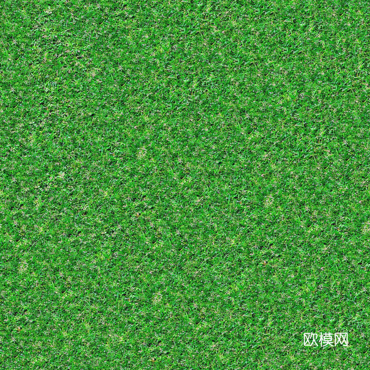 草地草皮草坡83