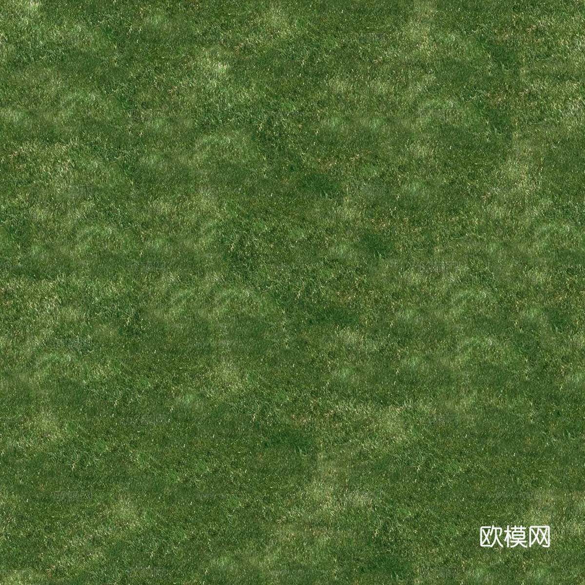 草地草皮草坡108