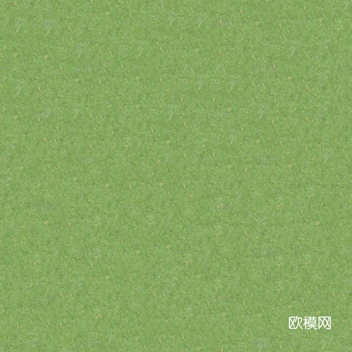 草地草皮草坡107