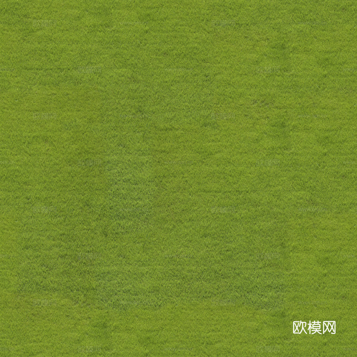 草地草皮草坡138
